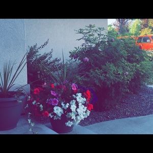 Meet your Posher, Claire